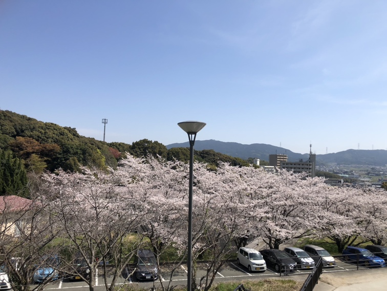 福岡 教育 大学 ポータル