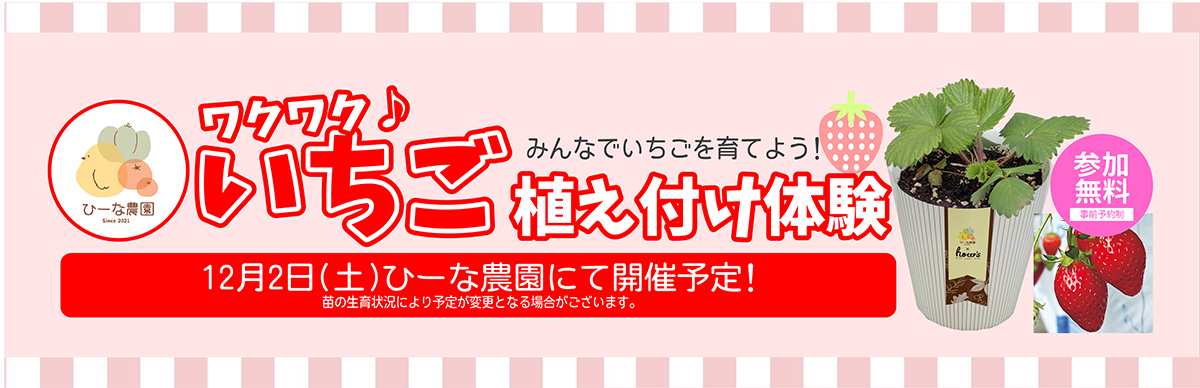 ひーな農園 収穫祭