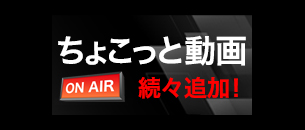 ちょこっと動画