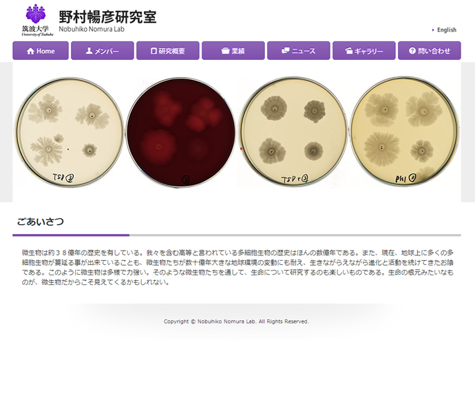 筑波大学　野村暢彦研究室